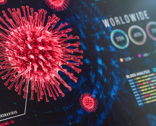 PANDEM-2 List And Description Of Selected Data Sources And Analytical Tools To Monitor Pandemics, 2022