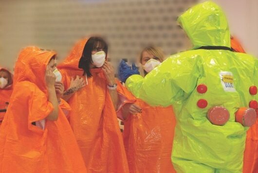 PEERS Tool & Standard Catalogue,2025